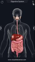 Digestive System Anatomy スクリーンショット 1