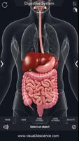 Digestive System Anatomy スクリーンショット 2