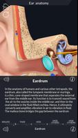 Ear Anatomy Pro. capture d'écran 2