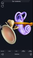 Ear Anatomy Pro. capture d'écran 3