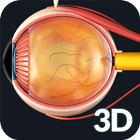 Eye Anatomy Pro. icône