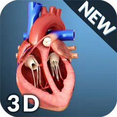 Heart Anatomy Pro. アプリダウンロード