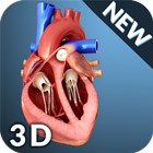 Heart Anatomy Pro. أيقونة