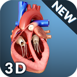 Heart Anatomy Pro. APK