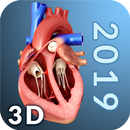 Heart Anatomy Pro. APK