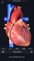 Heart Anatomy Pro. Affiche