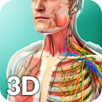 Human Anatomy APK Download for Android - Latest Version
