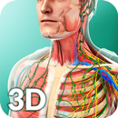 Human Anatomy aplikacja