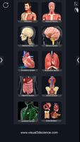 Human Anatomy ポスター