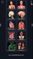 Human Anatomy الملصق