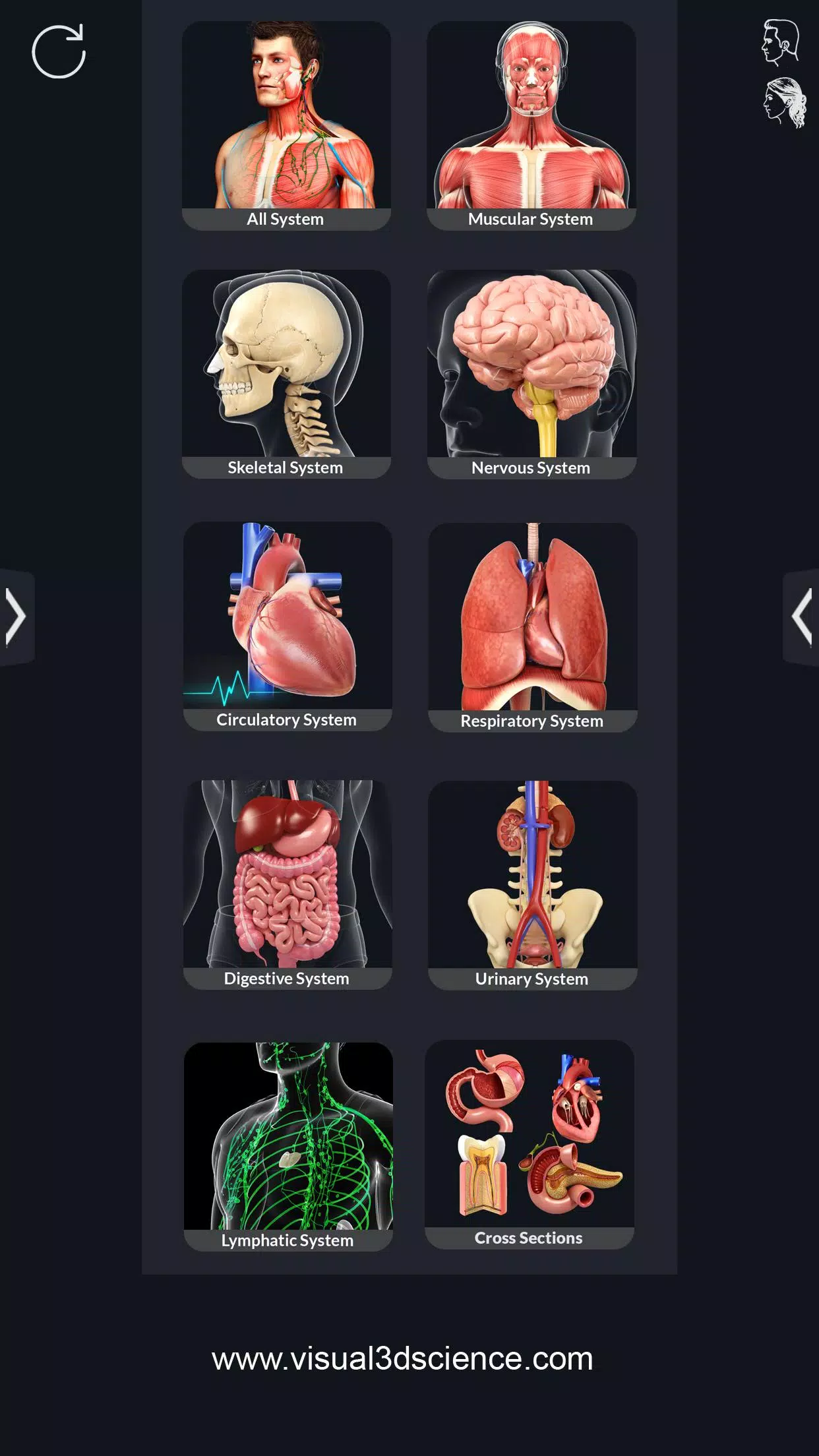 Human Anatomy APK Download for Android Free