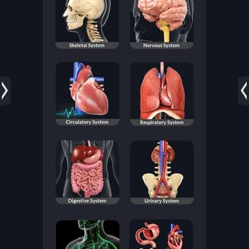 Human Anatomy screenshot 8