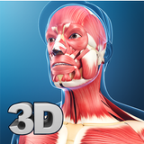 My Muscle Anatomy-APK