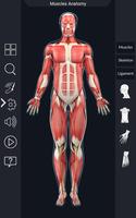 My Muscle Anatomy screenshot 1