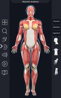 My Muscle Anatomy اسکرین شاٹ 2