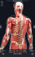 My Muscle Anatomy captura de pantalla 3