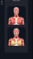 Muscle Anatomy Pro. Plakat