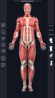 Muscle Anatomy Pro. Screenshot 1