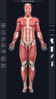 Muscle Anatomy Pro. capture d'écran 1