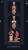 Organs Anatomy Pro. الملصق