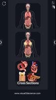 Organs Anatomy Pro. plakat