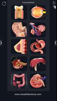 برنامه‌نما Organs Anatomy Pro. عکس از صفحه