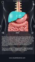 برنامه‌نما My Organs Anatomy عکس از صفحه