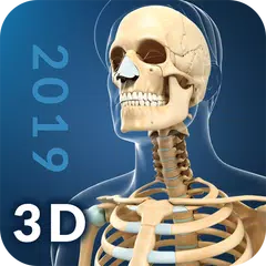 My Skeleton Anatomy アプリダウンロード