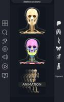 My Skeleton Anatomy poster