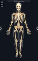 My Skeleton Anatomy скриншот 1