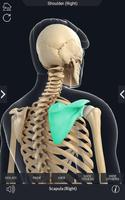 برنامه‌نما My Skeleton Anatomy عکس از صفحه