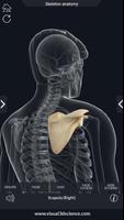 Skeleton Anatomy Pro. تصوير الشاشة 3