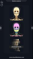 Skeleton Anatomy Pro. Affiche