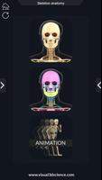 Skeleton Anatomy Pro. Cartaz