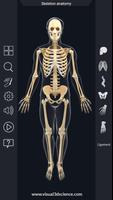 Skeleton Anatomy Pro. ảnh chụp màn hình 1