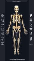 Skeleton Anatomy Pro. 截圖 1