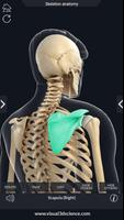 Skeleton Anatomy Pro. تصوير الشاشة 2