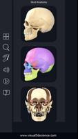 My Skull Anatomy imagem de tela 1