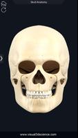 My Skull Anatomy ภาพหน้าจอ 2