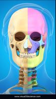 Skull Anatomy Pro. Affiche