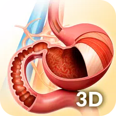 My Stomach Anatomy アプリダウンロード