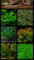 Aquarium Plants Guide capture d'écran 2