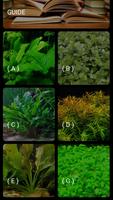 Aquarium Plants Guide screenshot 2