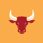 Bull Blitz! icon
