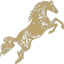 VITALIA APK
