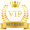VIP NET GURU APK