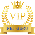 VIP NET GURU icône