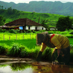Village Photo Frames - Village 圖標