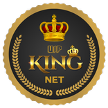 VIP KING NET