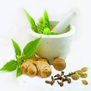 घरेलु उपचार - Home Remedies in APK